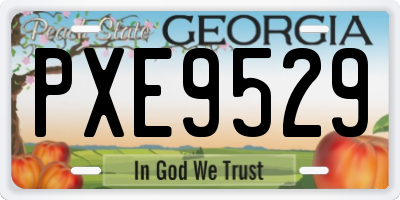 GA license plate PXE9529