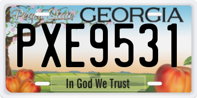 GA license plate PXE9531