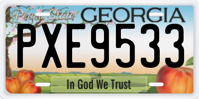 GA license plate PXE9533