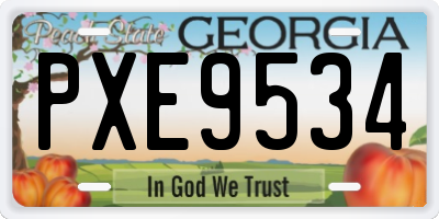GA license plate PXE9534