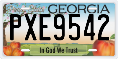 GA license plate PXE9542