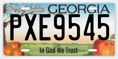 GA license plate PXE9545
