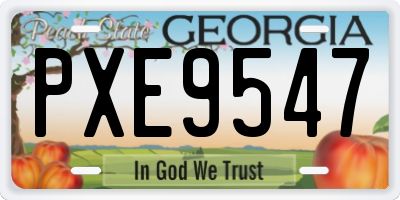 GA license plate PXE9547