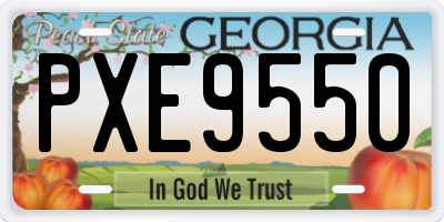 GA license plate PXE9550
