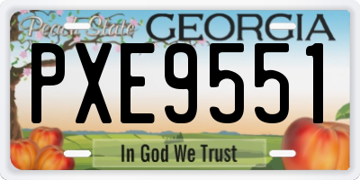 GA license plate PXE9551