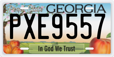 GA license plate PXE9557