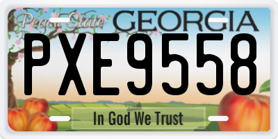 GA license plate PXE9558