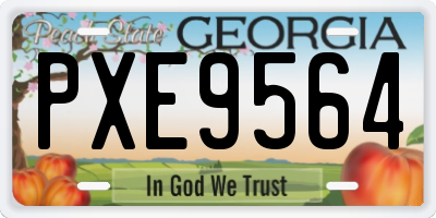 GA license plate PXE9564