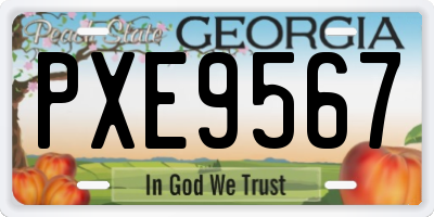 GA license plate PXE9567
