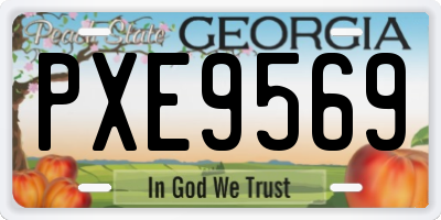 GA license plate PXE9569