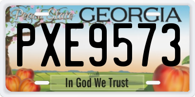 GA license plate PXE9573