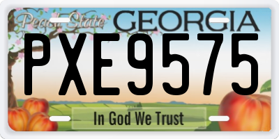 GA license plate PXE9575