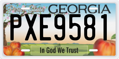 GA license plate PXE9581