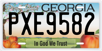 GA license plate PXE9582