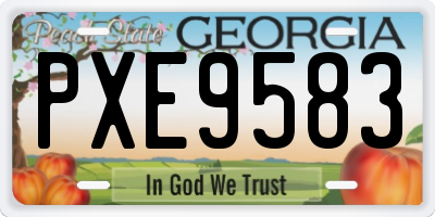 GA license plate PXE9583
