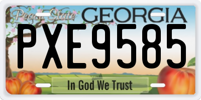 GA license plate PXE9585