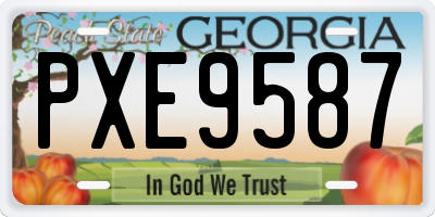 GA license plate PXE9587