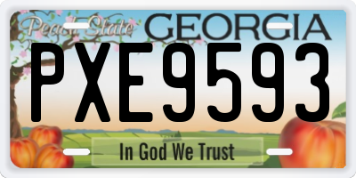 GA license plate PXE9593