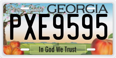 GA license plate PXE9595