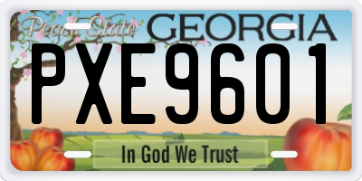 GA license plate PXE9601