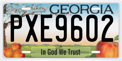 GA license plate PXE9602