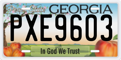 GA license plate PXE9603
