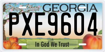 GA license plate PXE9604
