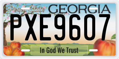 GA license plate PXE9607