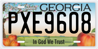 GA license plate PXE9608