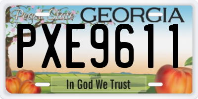 GA license plate PXE9611