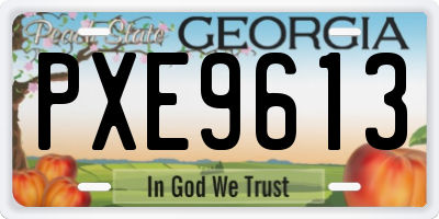 GA license plate PXE9613