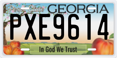 GA license plate PXE9614