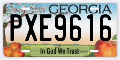 GA license plate PXE9616