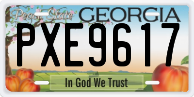 GA license plate PXE9617