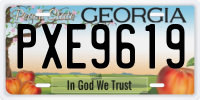 GA license plate PXE9619