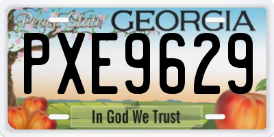 GA license plate PXE9629