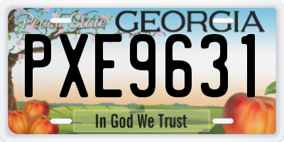 GA license plate PXE9631
