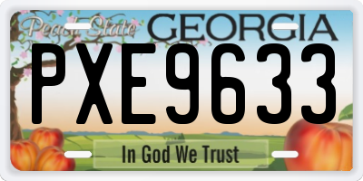 GA license plate PXE9633