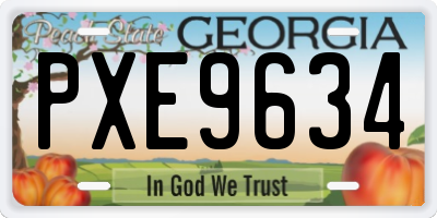 GA license plate PXE9634