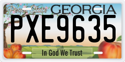 GA license plate PXE9635
