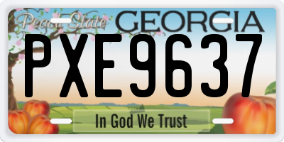 GA license plate PXE9637