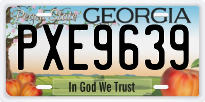 GA license plate PXE9639
