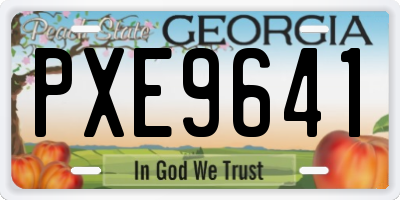GA license plate PXE9641