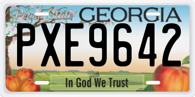 GA license plate PXE9642