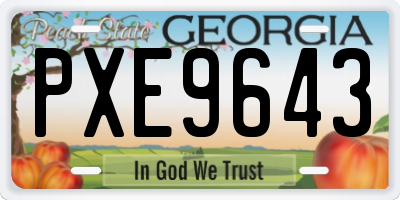 GA license plate PXE9643