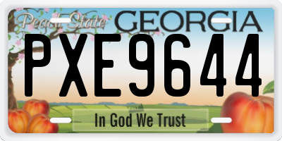 GA license plate PXE9644