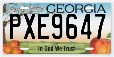 GA license plate PXE9647
