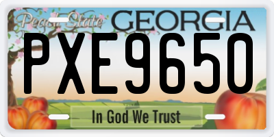 GA license plate PXE9650