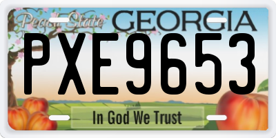 GA license plate PXE9653