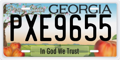 GA license plate PXE9655